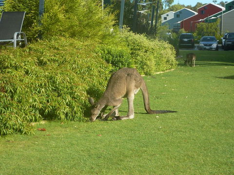 Footprints Preston Beach - Northern Rivers Accommodation 16