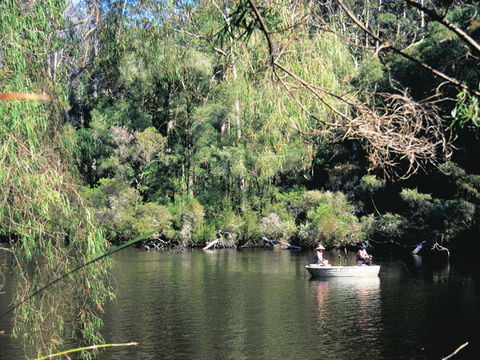 The Pemberton Hotel - Northern Rivers Accommodation 39