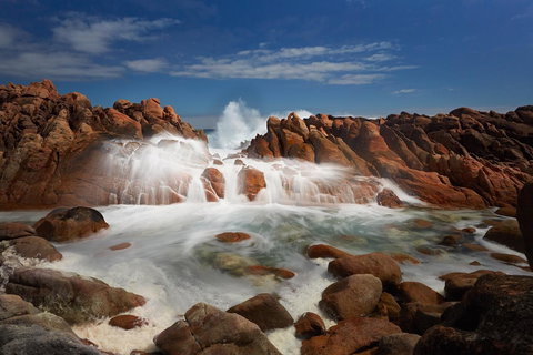 Injidup Spa Retreat - Northern Rivers Accommodation 43