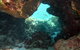 Ningaloo Coral Bay â€“ Bayview - thumb 4