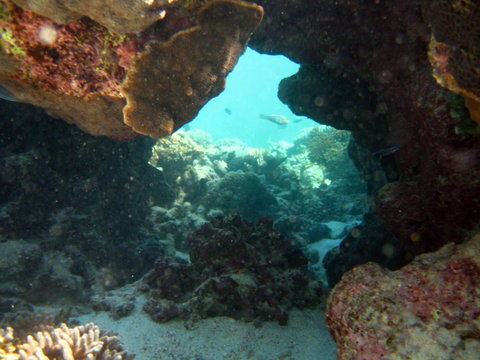 Ningaloo Coral Bay â€“ Bayview - Northern Rivers Accommodation 4