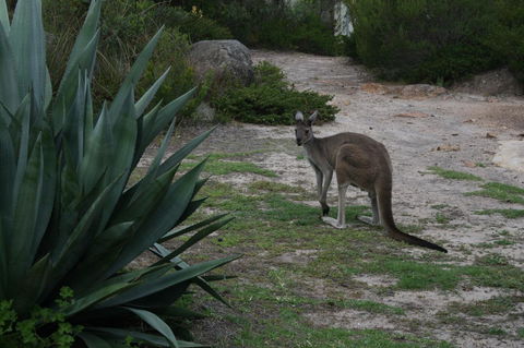 Aqua Views - Northern Rivers Accommodation 15