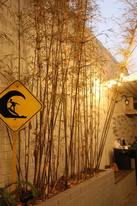 Britannia On William - Northern Rivers Accommodation 23