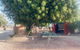 Shark Bay Cottages - thumb 35