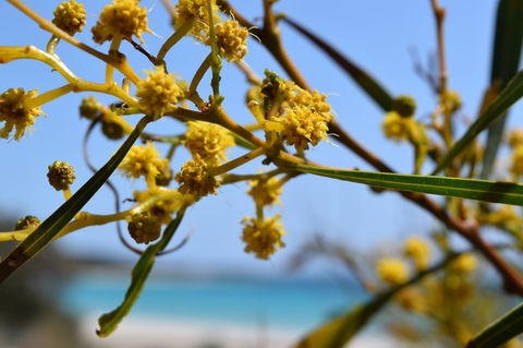 Eagle Bay House - Northern Rivers Accommodation 12