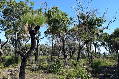 Eagle Bay House - Northern Rivers Accommodation 25