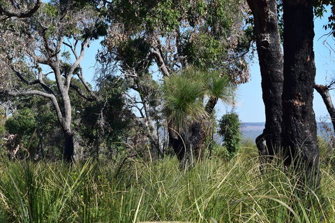 Eagle Bay House - Northern Rivers Accommodation 23
