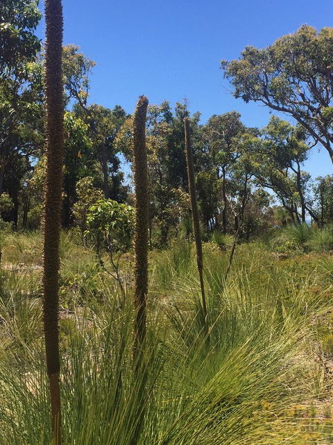 Eagle Bay House - Northern Rivers Accommodation 15