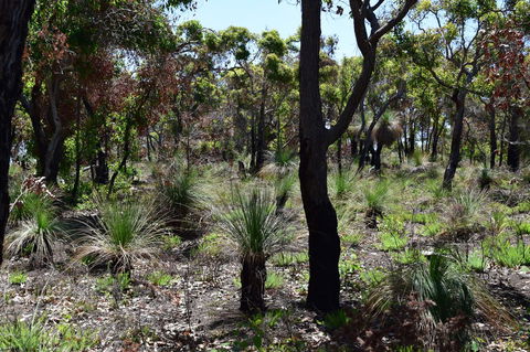 Eagle Bay House - Northern Rivers Accommodation 27