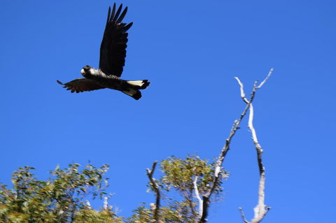 Eagle Bay House - Northern Rivers Accommodation 20
