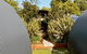 43 Degrees Bruny Island - thumb 12