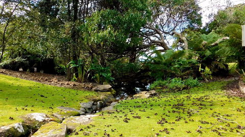 43 Degrees Bruny Island - Northern Rivers Accommodation 8