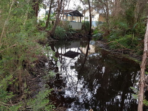 Strahan Retreat Holiday Park - Northern Rivers Accommodation 33