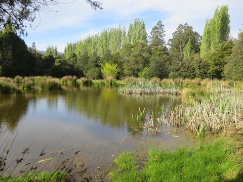 Giants Table And Cottages - Northern Rivers Accommodation 25