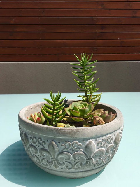 Sandy Bay Studio Apartment - Northern Rivers Accommodation 13