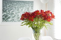 Book Kingston Beach Accommodation Vacations Northern Rivers Accommodation Northern Rivers Accommodation