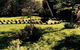 Clydesdale Manor - thumb 20