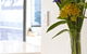 Sandy Bay Waterfront Home - thumb 12