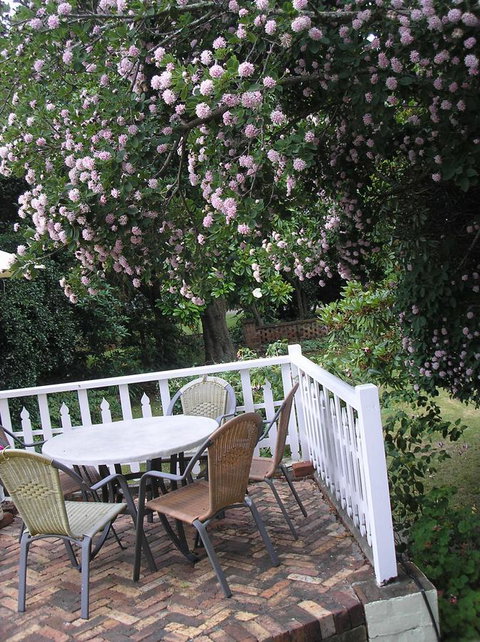 Anabel\'s Of Scottsdale - Northern Rivers Accommodation 33