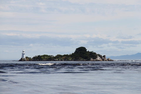 Aloft Boutique Accommodation - Northern Rivers Accommodation 7