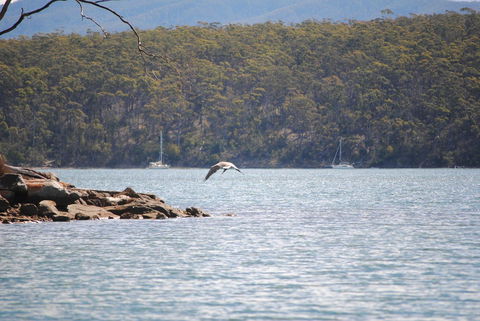 A Slice Of Paradise - Northern Rivers Accommodation 18