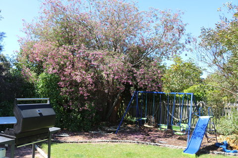 Sisters Beach Paradise - Northern Rivers Accommodation 9