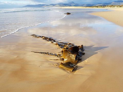 Blue Seas Holiday Villas - Northern Rivers Accommodation 11