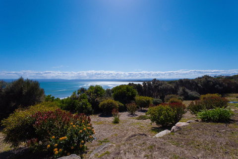 Banksy's By The Bay - Northern Rivers Accommodation 16