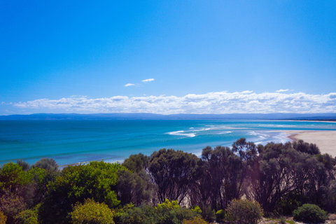 Banksy's By The Bay - Northern Rivers Accommodation 15