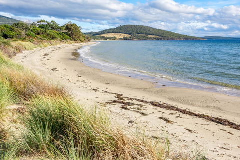 Omaroo Cottage Bruny Island - Northern Rivers Accommodation 14