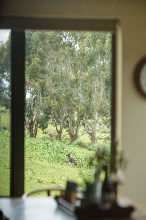 Adventure Bay Retreat Bruny Island - Northern Rivers Accommodation 7