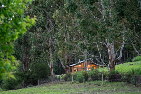 Adventure Bay Retreat Bruny Island - Northern Rivers Accommodation 24