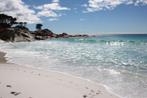 SEA EAGLE COTTAGE Amazing Views Of Bay Of Fires - Northern Rivers Accommodation 14