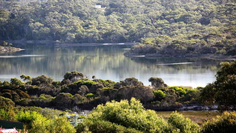 SEA EAGLE COTTAGE Amazing Views Of Bay Of Fires - Northern Rivers Accommodation 17