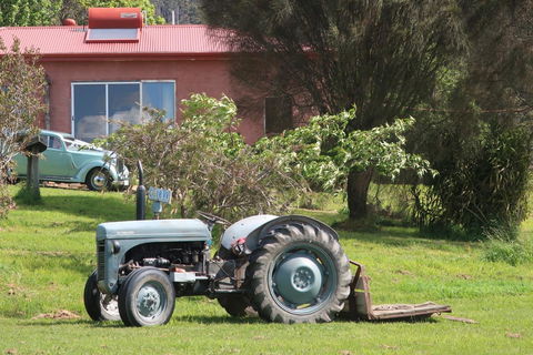 Cherry Top Farmstay - Boutique Eco Village - Northern Rivers Accommodation 25