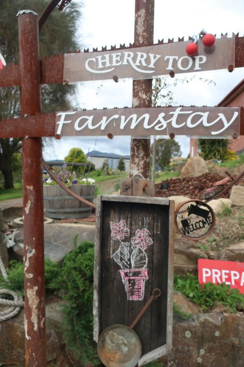 Cherry Top Farmstay - Boutique Eco Village - Northern Rivers Accommodation 5