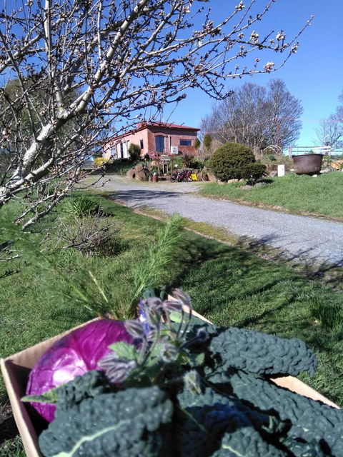 Cherry Top Farmstay - Boutique Eco Village - Northern Rivers Accommodation 23