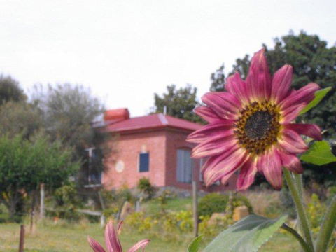 Cherry Top Farmstay - Boutique Eco Village - Northern Rivers Accommodation 27
