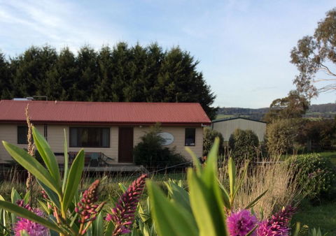 Cherry Top Farmstay - Boutique Eco Village - Northern Rivers Accommodation 22