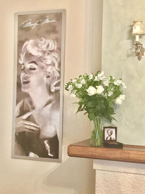 Jones On Wilson Boutique B&B - Northern Rivers Accommodation 1