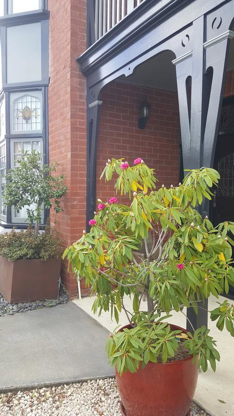 Insomnia On Elizabeth - Northern Rivers Accommodation 35