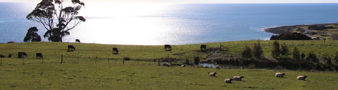 Penguin Seaside Farm - Northern Rivers Accommodation 2