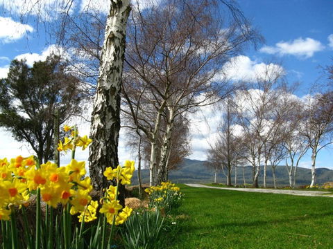 Plovers Ridge Country Retreat - Northern Rivers Accommodation 4