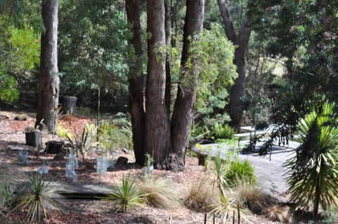 Oyster Cove Chalet - Northern Rivers Accommodation 26