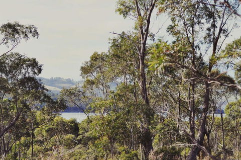 Oyster Cove Chalet - Northern Rivers Accommodation 17