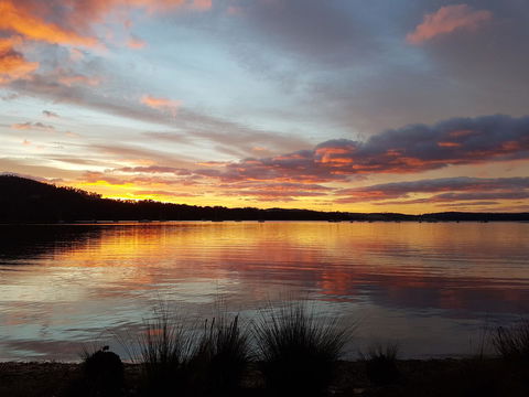 Oyster Cove Chalet - Northern Rivers Accommodation 10