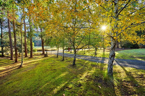 Oyster Cove Chalet - Northern Rivers Accommodation 1