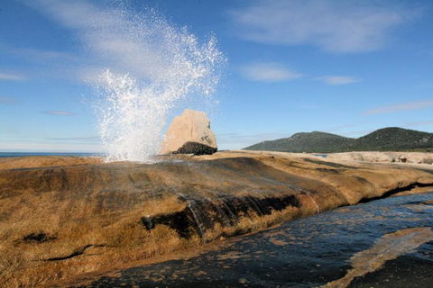 Suntrap Cove Bicheno - Northern Rivers Accommodation 30