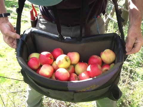 Eureka Farm - Northern Rivers Accommodation 24