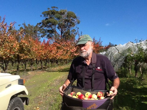 Eureka Farm - Northern Rivers Accommodation 19